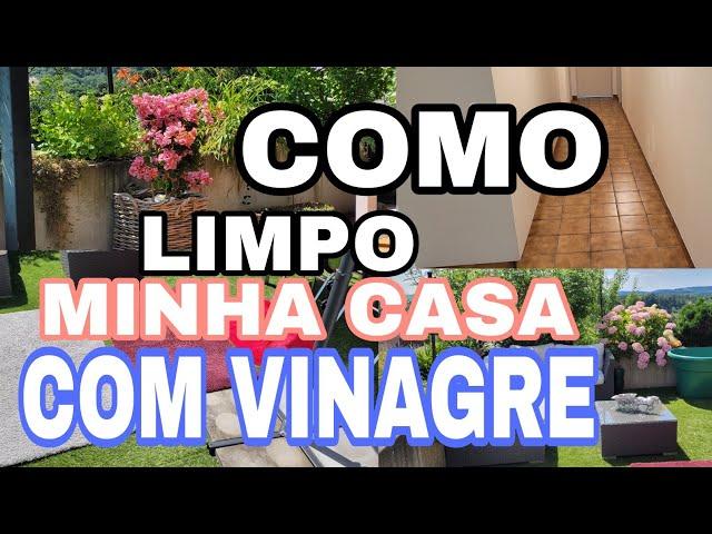 LUANA VEM SEMPRE,MAS,NAO MOSTRO + LIMPO A CASA TODA COM VINAGRE + RESPONDO SEM FREIO NA LINGUA...