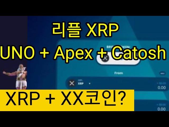 리플 XRP + ️ 어느코인이?? 리스타트!! 모든것을 통합한다!!