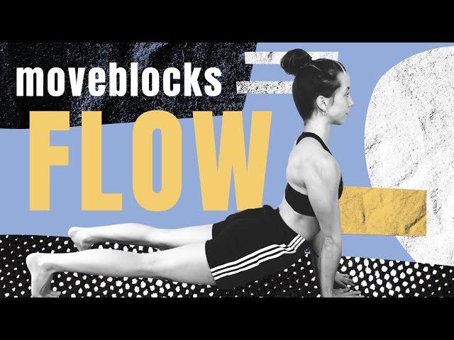 20 Min FULL BODY WORKOUT FLOW NO EQUIPMENT // Animal Flow, Yoga, Classical Bodyweight Training