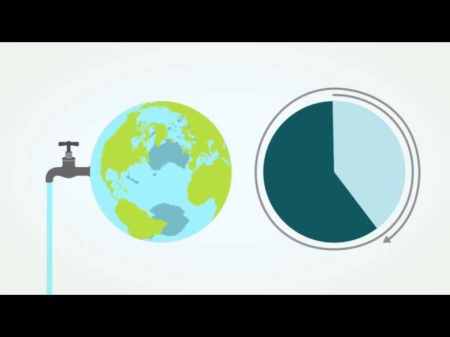 Pipe Dreams? Water Rights, Pricing and Privatisation