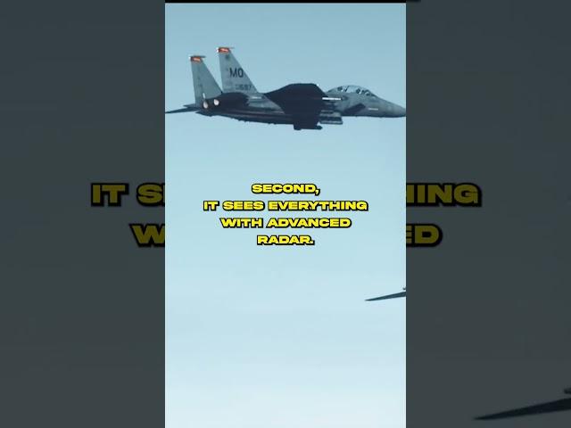 Why the F 15 Has a Perfect Air to Air Record?