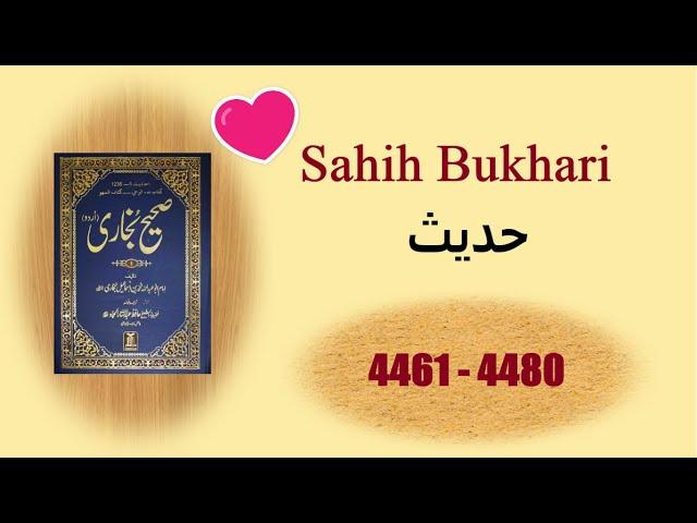 Sahih Bukhari Hadees in Urdu *(4461-4480)* Islamic Books Hadees