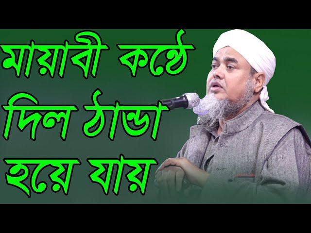 সোহরাব আলী। Bangla Waz 2020। Maulana Sohrab Ali Khan। Bangla Islamic Guidance