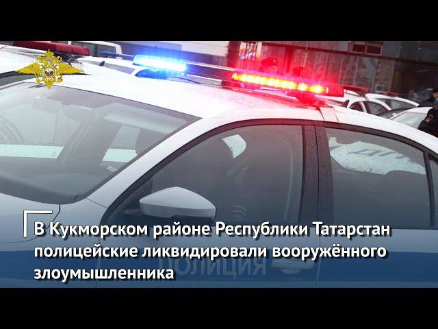 В Кукморском районе Республики Татарстан полицейские ликвидировали вооружённого злоумышленника