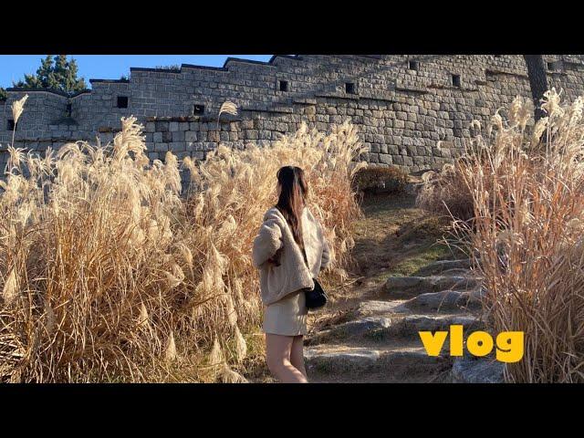 vlog | 수원 행궁동(feat. 사진지옥) | 하우스플랜비, 비바시티, 버터부티크, 한센, 방화수류정 | 역삼아모리스 결혼식 | 세시셀라 당근케이크