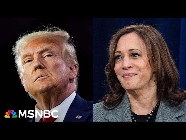 'Everyone is excited about her and that scares me': Female Trump voters on Harris