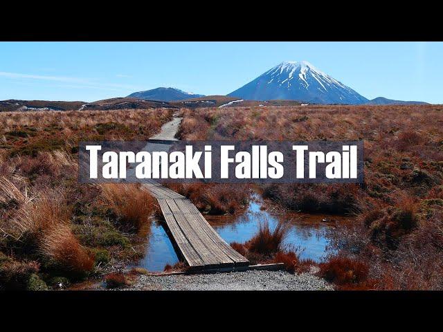 Taranaki Falls trail New Zealand, Our FAVOURITE HIKE yet!