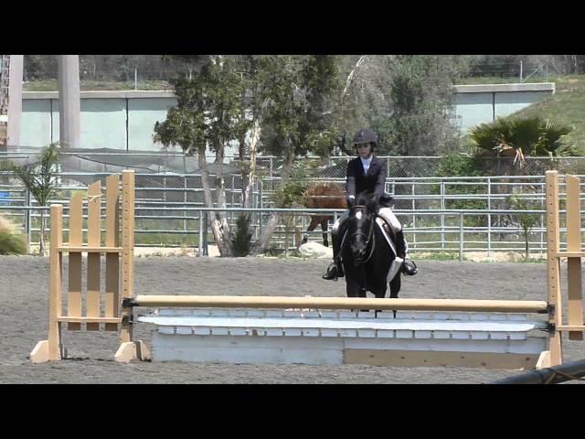 2011-2012 IEL Show Season - Show #4 Lindsay Palmer Novice Equitation Over Fences