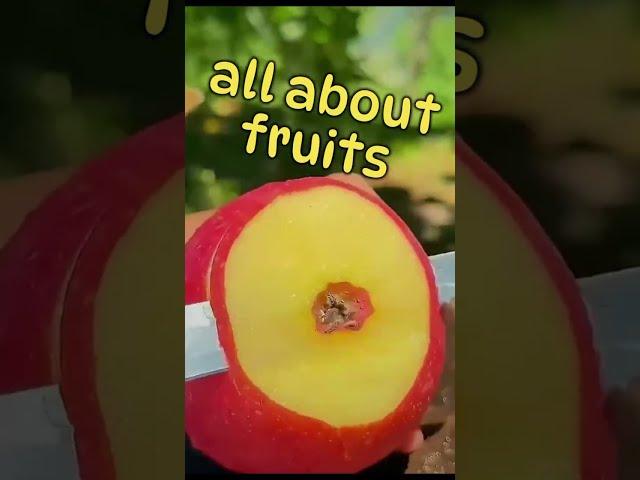 all about fruits