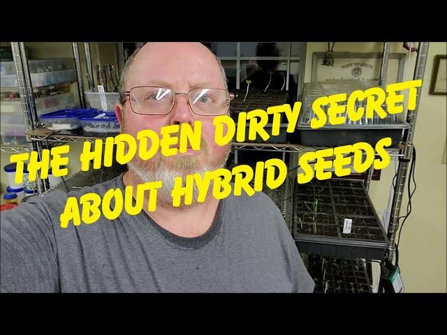 The Untold Secret About Seeds