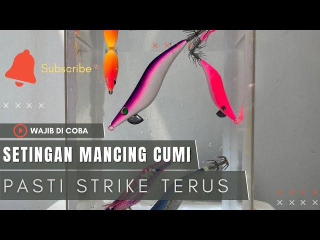 Setingan Umpan Jitu Mancing Cumi Pinggiran | Wajib Tau Agar Tidak Boncos