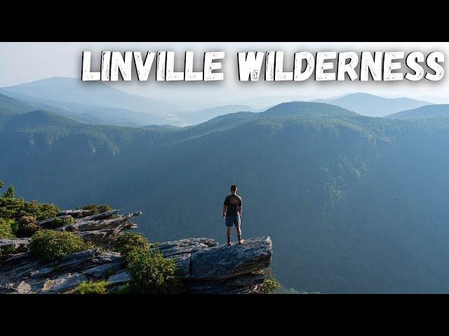 Linville Gorge Wilderness - Exploring Best Hikes on Blue Ridge Parkway