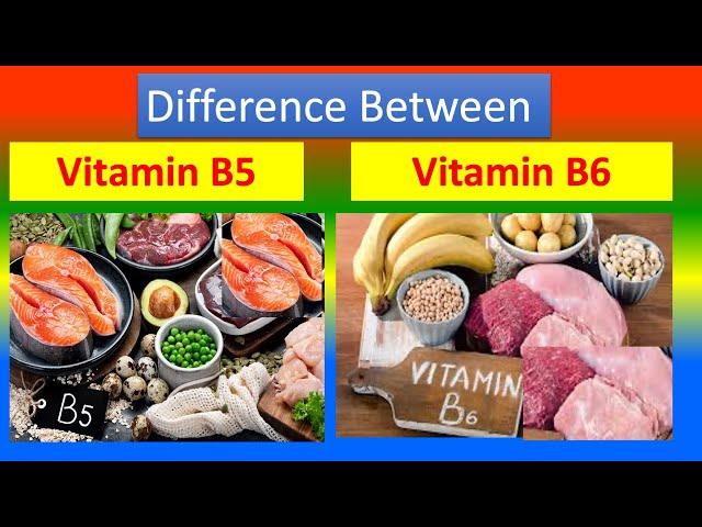 Differences Between Medical And Health Benefits Of Vitamin B5 and  Vitamin B6