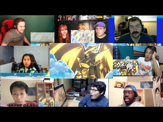 Akame Ga Kill Episode 23 Reaction Mashup!!