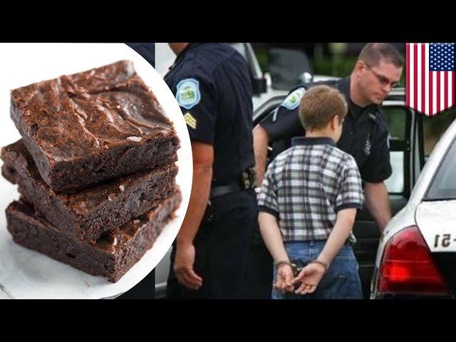 PC culture: Cops called for 'racist' brownie comment at elementary school - TomoNews