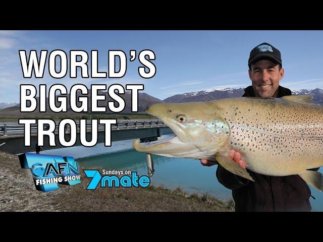 World's biggest trout caught on camera?