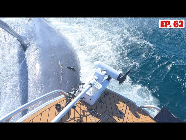 The Best Work-Up Footage We’ve Ever Filmed! Hit by a WHALE While Fishing!