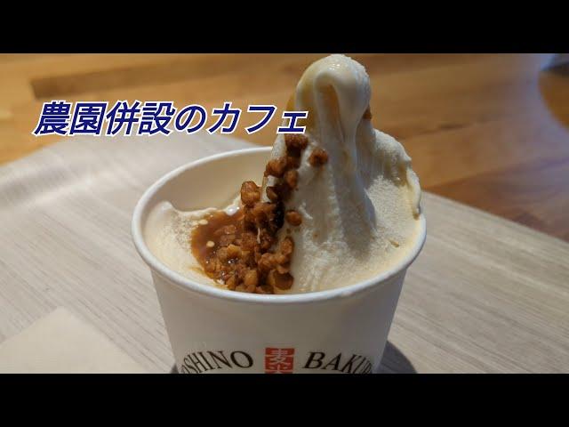 吉野berry ドッグカフェ【佐賀県神埼郡】〜観光農園もやってるらしい〜