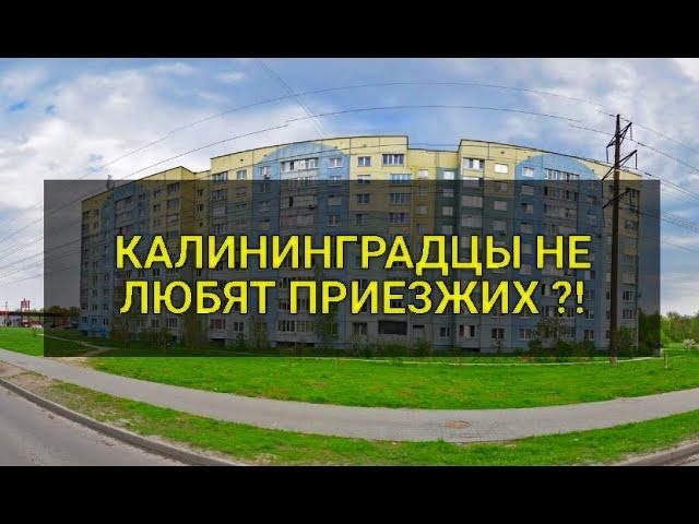 КАЛИНИНГРАДЦЫ ПРОТИВ ПРИЕЗЖИХ