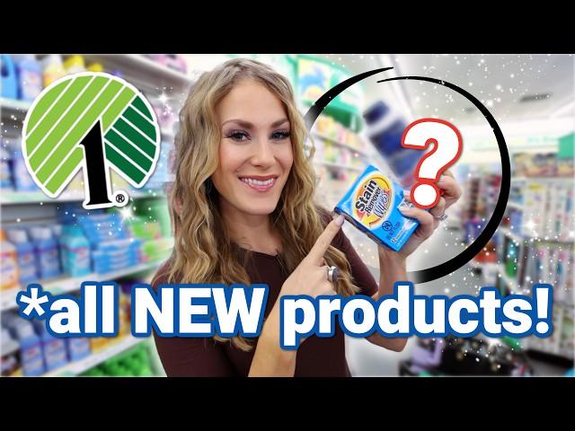 UNEXPECTED DOLLAR TREE HACKS to solve YOUR most annoying problems 