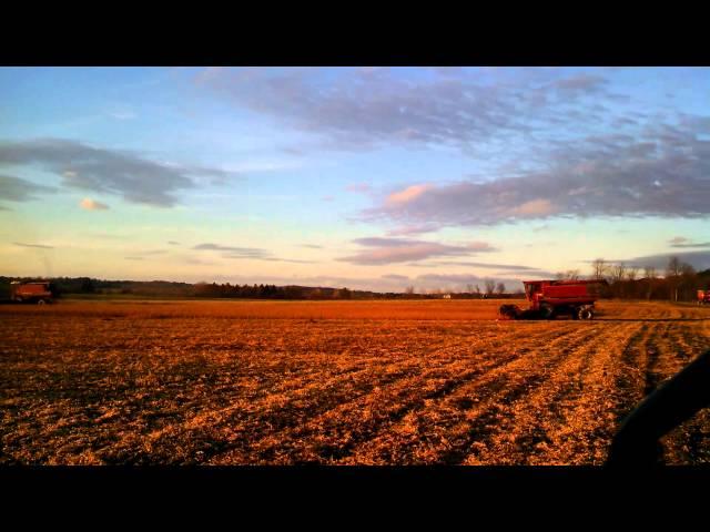 Vermont Bean Harvest '13 1440 and 1460