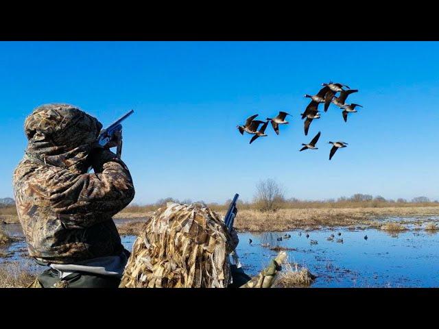 THE MOST BEAUTIFUL GOOSE HUNTING 2023