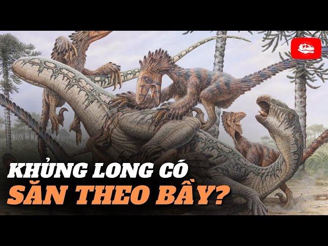 Khủng long có đi săn theo bầy không?