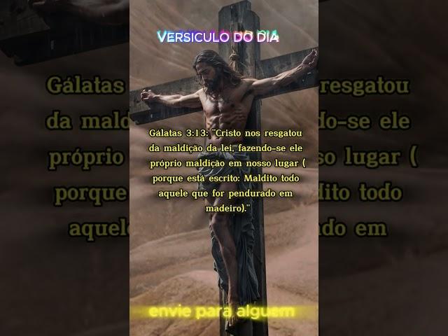 Maldito todo aquele que for pendurado em madeiro#versiculododia #palavradedeus #versiculodiario #fé
