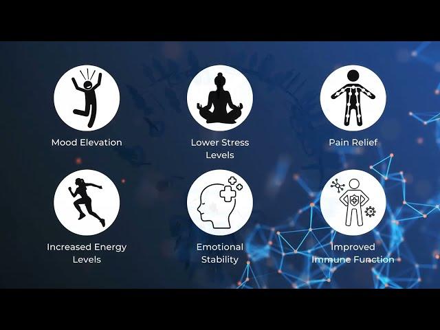 The Energy Enhancement System, EESystem -  What is it & how does it work?  Cellular Recharge!
