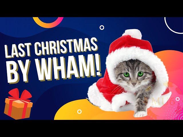 Last Christmas - WHAM! by Cute Cats