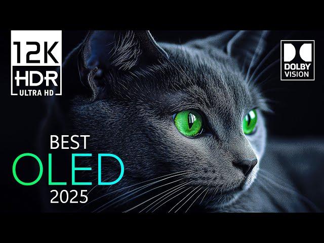 The Best Dolby Vision 12K HDR Video ULTRA HD 240 fps (8K / 4K TV)