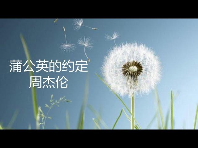 周杰伦 - 蒲公英的约定 （歌词版）~ Jay Chou - Dandelion's promise (Music Lyrics)