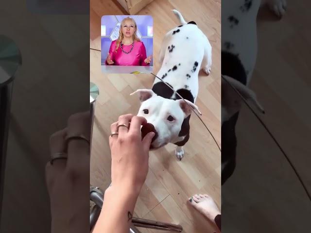 Когда ждёшь оплату от клиента, а он высылает только правки #хайп #техника #психолог #советы