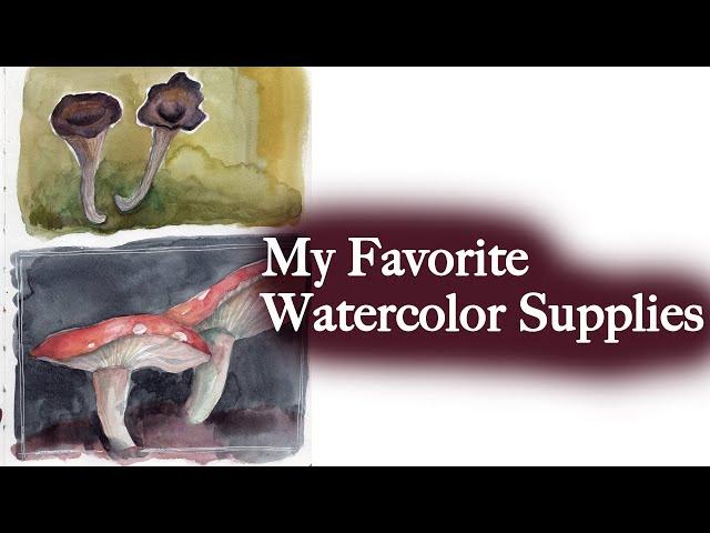 My favorite watercolor supplies, travel kit, palette tour