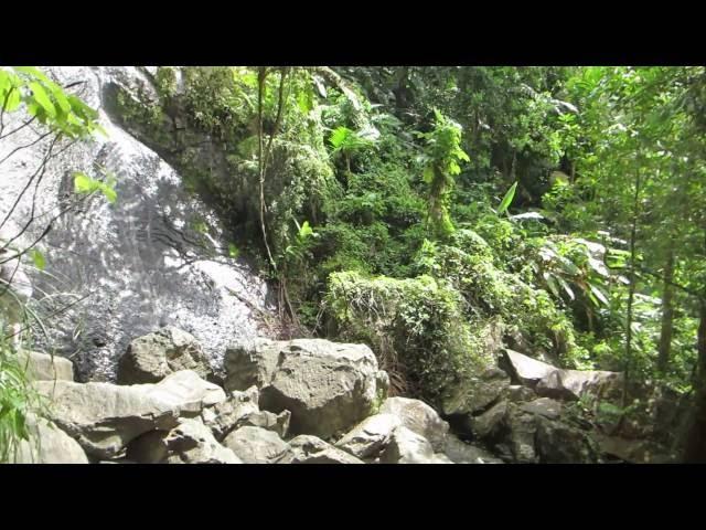 La Coca Falls in El Yunque National Forest Puerto Rico