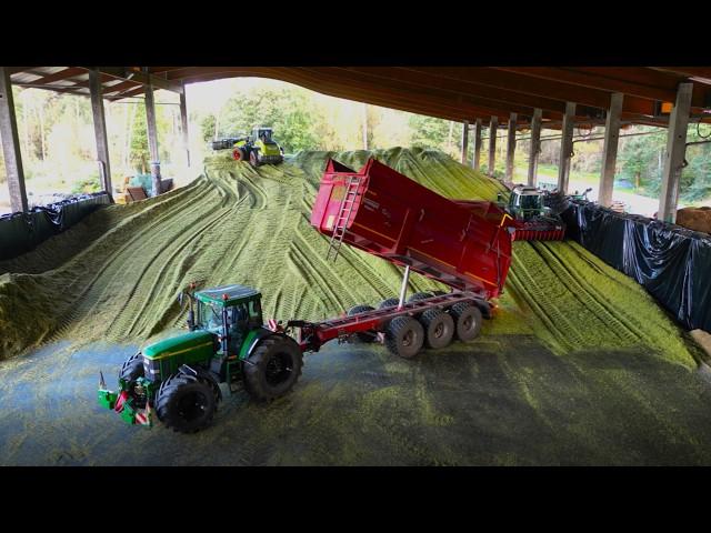 Maisernte 2024 ! Überdachtes Silo & 2 Häckselketten mit Fendt und JohnDeere Traktoren! 2/2