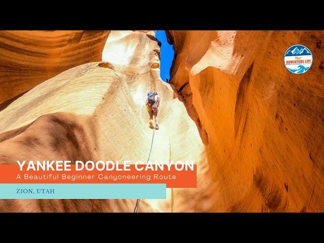 Yankee Doodle Canyon - A Beautiful Beginner Canyoneering Route Near Zion, Utah