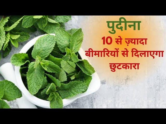 Pudina Health Benefits इस तरीके से खाएं पुदीना 10 से ज़्यादा बीमारियों से मिलेगा छुटकारा Mint Benefit