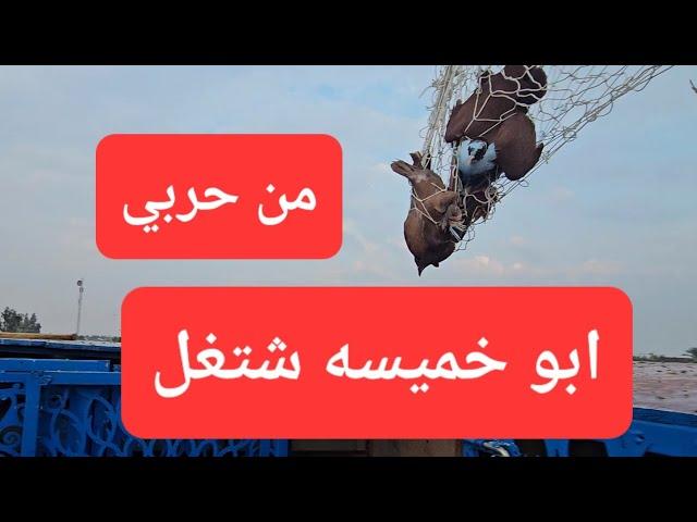 الحلقه 35 يوميات سطح فارس الكربلائي 2 الونسه الوينه وصيد احمر من الحرب