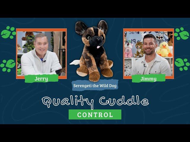 Quality Cuddle Control | Pawsitive Impact | Episode #2