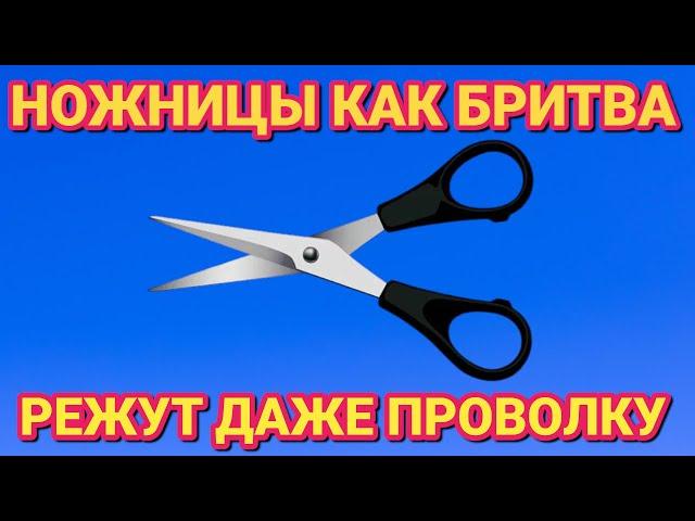 Как ПРОСТО заточить любые ножницы дома , до бритвенной остроты за 1 МИНУТУ