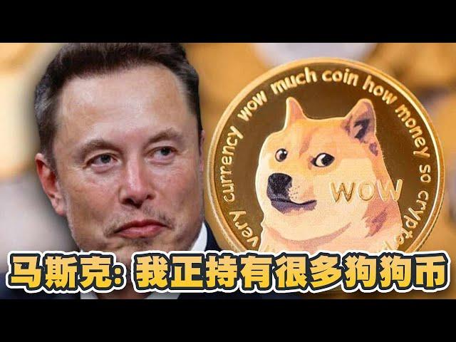 马斯克：我持有很多狗狗币！SpaceX持有很多比特币！政府效率部DOGE第一击：将开发网上报税程式减开支｜Cryptonews