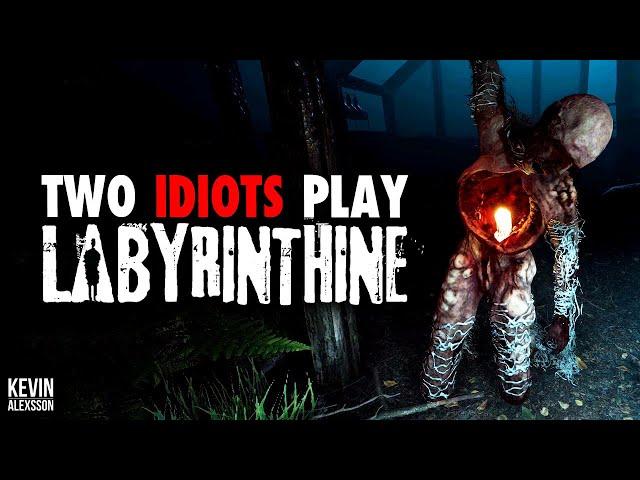 TWO IDIOTS PLAY LABYRINTHINE w/ WOODYRUN