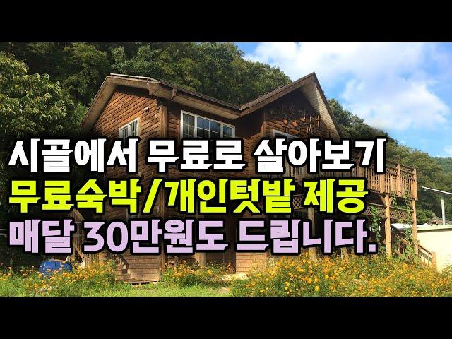 시골에서 무료로 살아보기,무료숙박/개인텃밭 제공,돈 30만원 받으면서 3달 살아보기,한달살기_돈없이 시골집 구하기. 시골살아보기,귀농귀촌,전원주택,전원생활,귀촌부부,청년농부