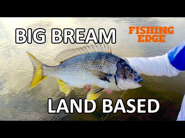 Fishing Edge Episode - Big Bream Land Based