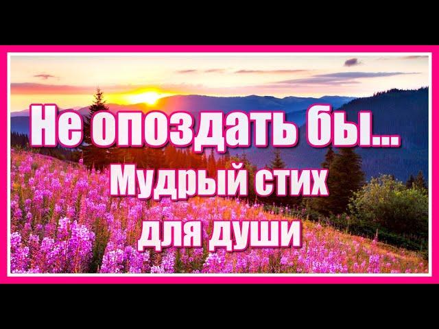 "Не опоздать бы..." Мудрый стих для души Ларисы Гапеевой и очень красивая мелодия Евгения Полянского