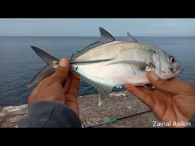 casting di pinggiran pantai strike ikan GT ikan Sorang joss #mancing casting #mancing pinggiran