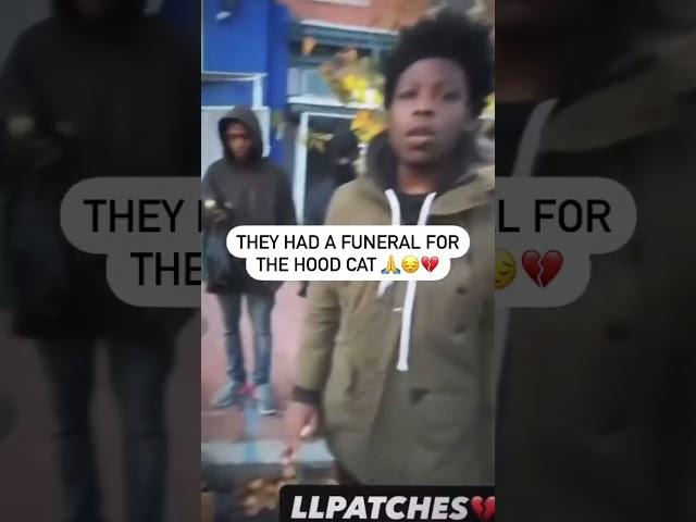 The Hood Cat Funeral is a Movie ️ #cat #hood #funeral #viralvideo