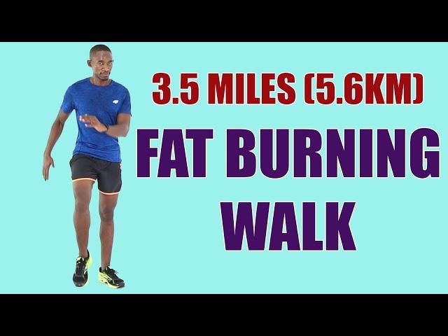 3.5 Miles Fat Burning Walking Workout at Home/ 45 Minute Walk at Home Workout