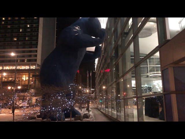 "I See What You Mean" Blue Bear Denver Nightlife Walking Tour 2024